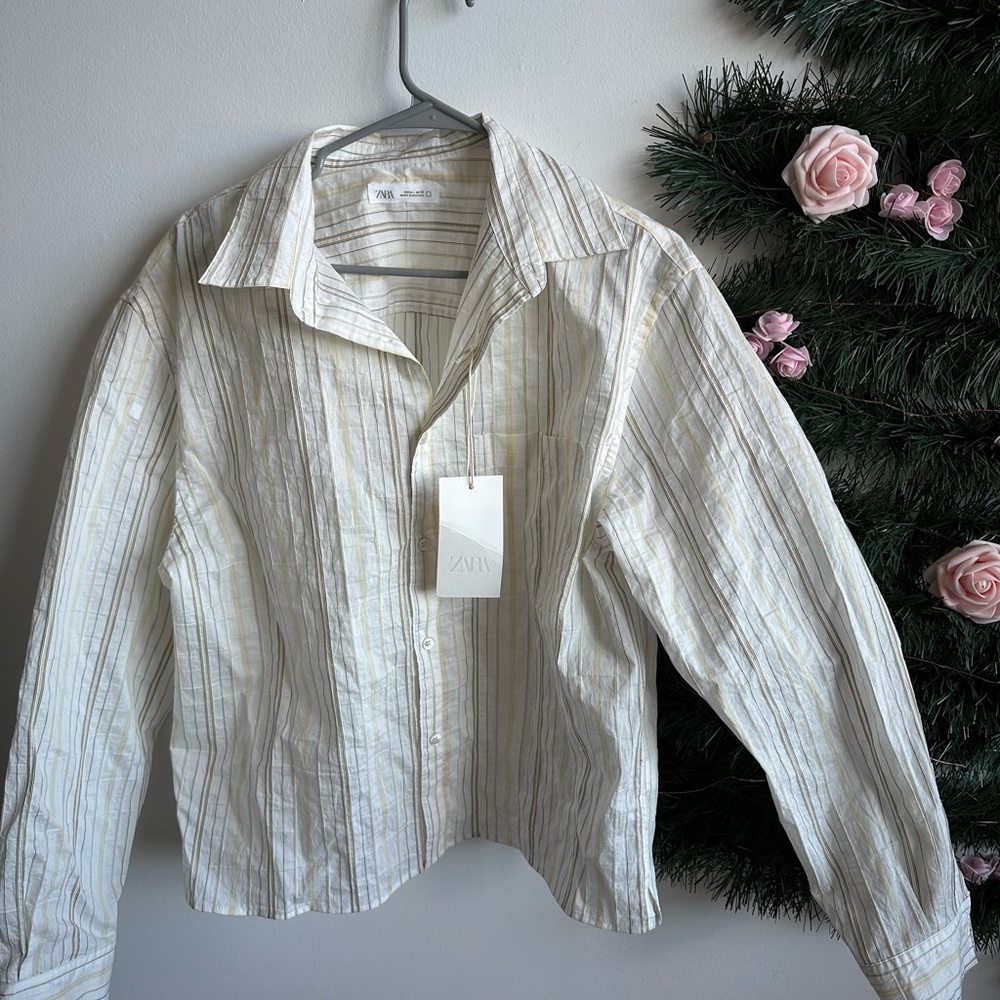 Zara women’s Beige Striped button Down